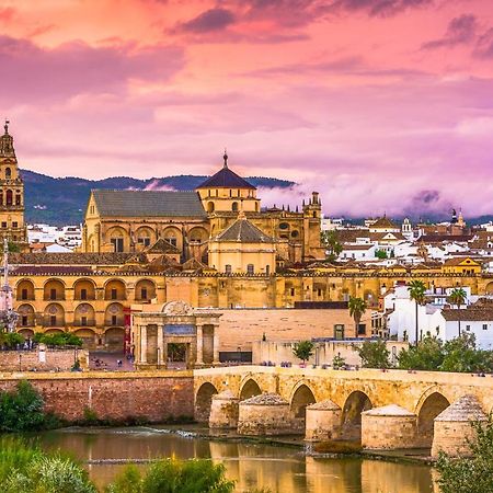Eduardo Lucena 5, Casco Historico Lägenhet Córdoba Exteriör bild